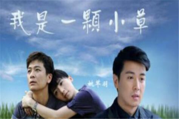 好看的催泪电视剧排行榜 《继父》上榜,第一能让你哭成泪人