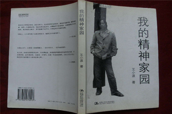 已出版小说排行榜