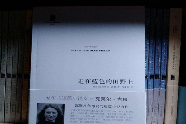 冷门文学作品