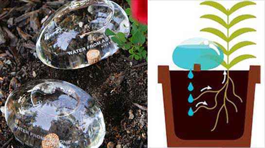 透明石头浇水器：Water From A Stone