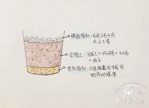 多肉配土