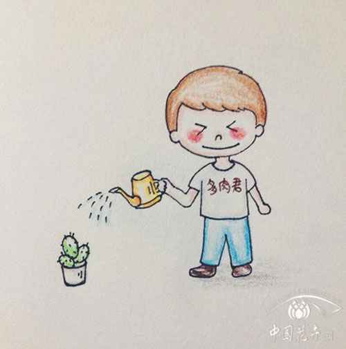 多肉浇水