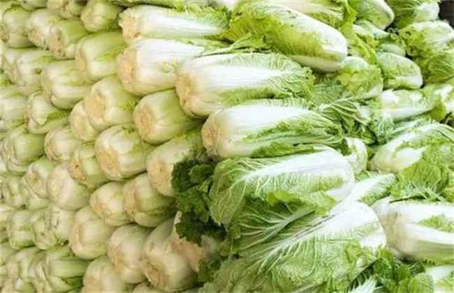 大白菜储存 大白菜储存方法