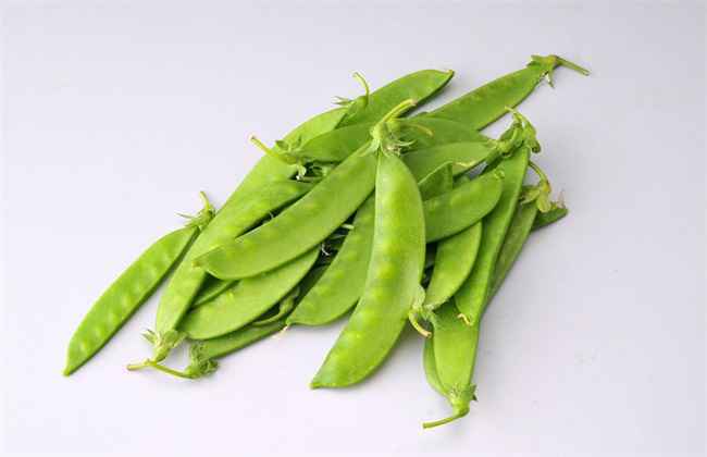 秋季种植什么 秋季蔬菜种植
