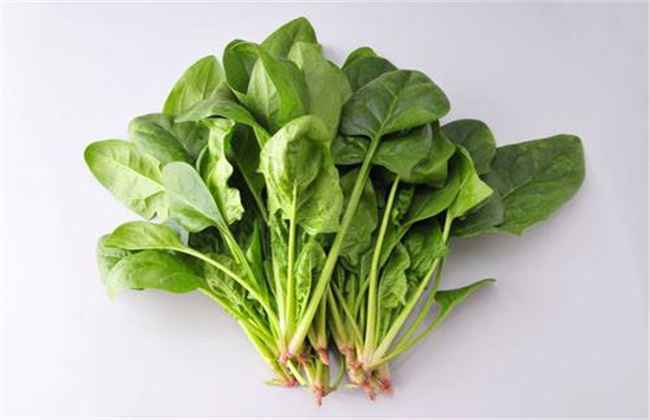 秋天种什么蔬菜 秋季蔬菜种植