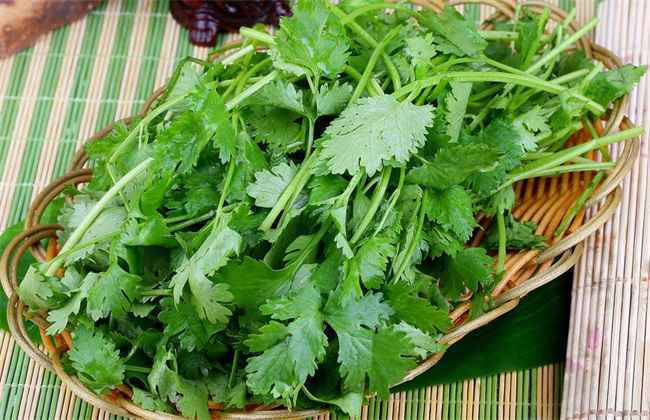 秋天种什么蔬菜 秋季蔬菜种植