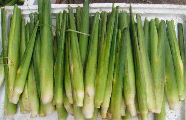 茭白 贮藏方法 保鲜方法