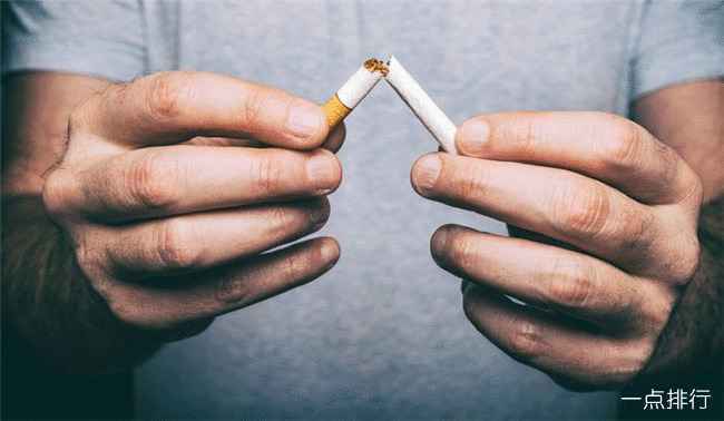 智利 - 38%的成年人 智利 - 38%的成年人